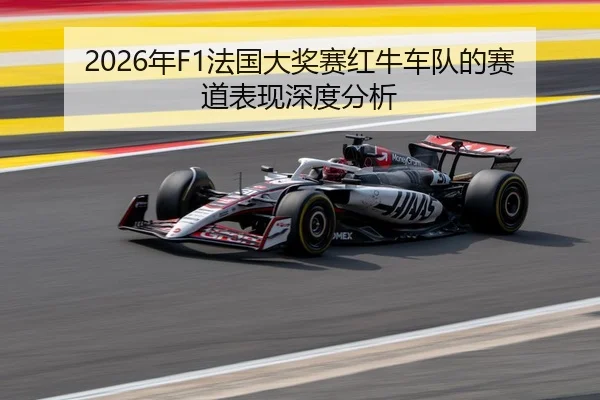2026年F1法国大奖赛红牛车队的赛道表现深度分析