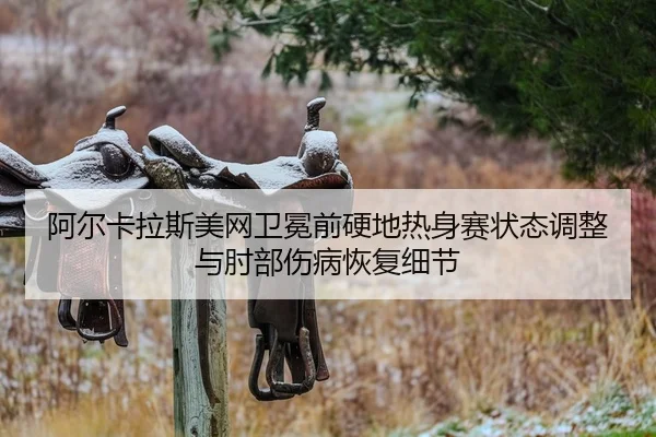 a-er-ka-la-si-mei-wang-wei-mian-qian-ying-di-re-shen-sai-zhuang-tai-tiao-zheng-yu-zhou-bu-shang-bing-hui-fu-xi-jie-2-869.jpg