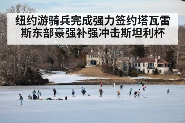 纽约游骑兵完成强力签约塔瓦雷斯东部豪强补强冲击斯坦利杯
