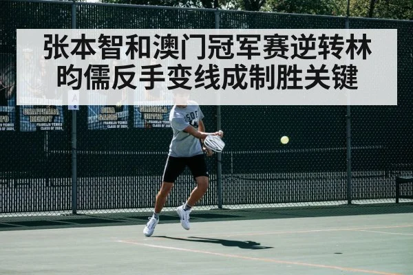 张本智和澳门冠军赛逆转林昀儒反手变线成制胜关键